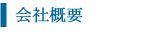 ЊTv